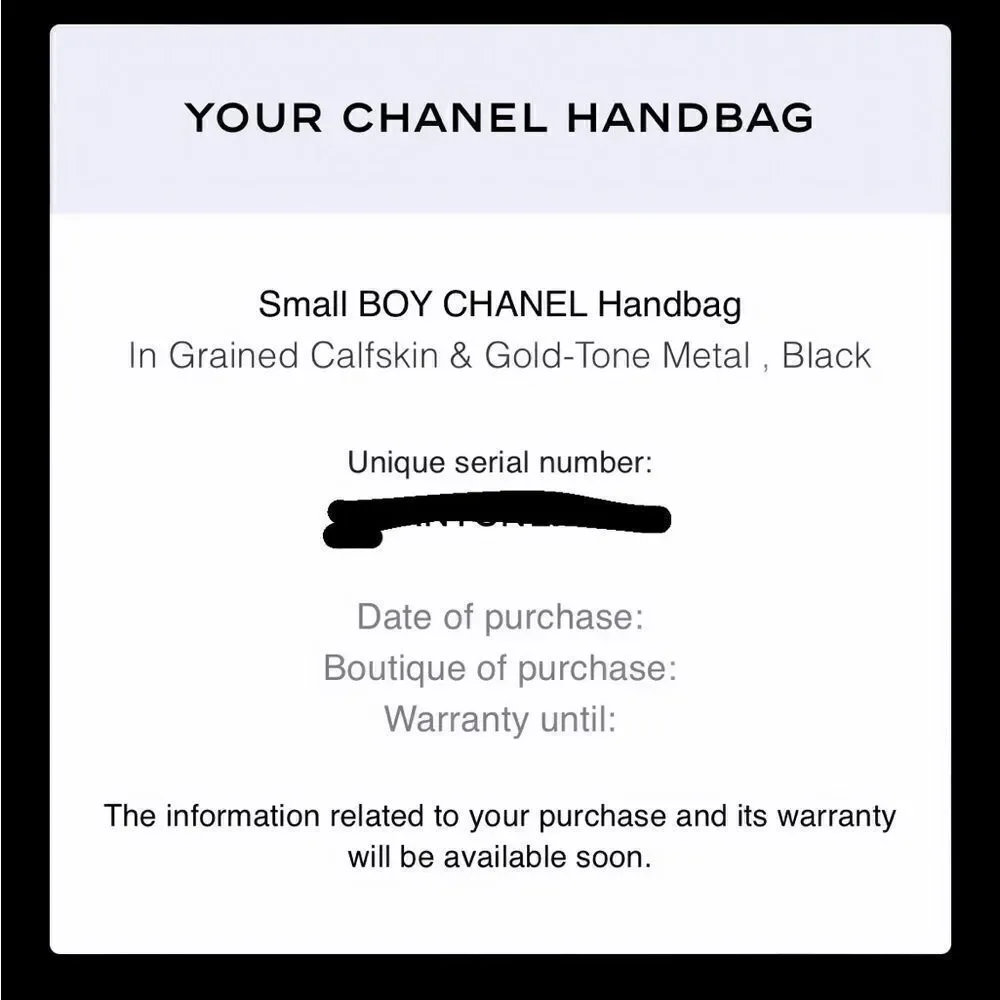 CHANEL small boy bag
